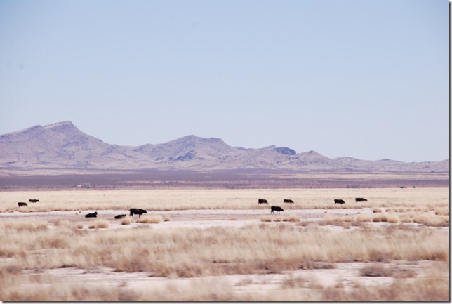 02-25-11 XTravel I-10 Across New Mexico 025