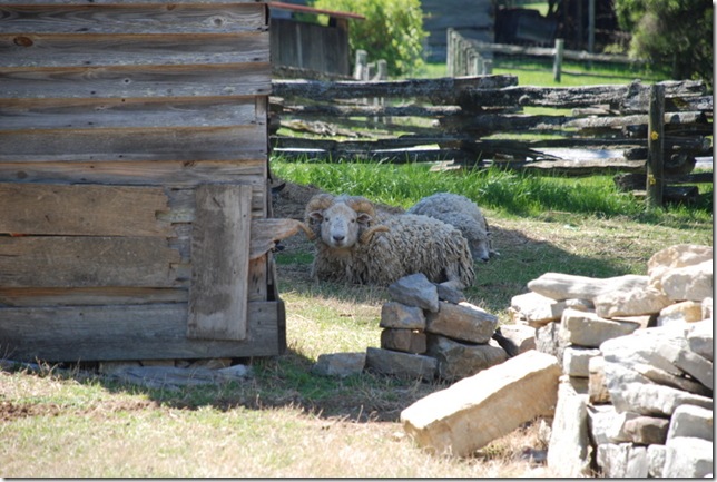 04-07-11 Museum of Appalacia 111