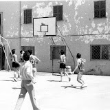 1984-85