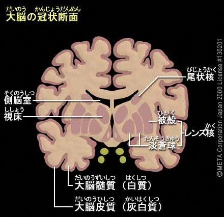 【東方Project エロ同人誌】純狐が夢に出てきてご主人様のお