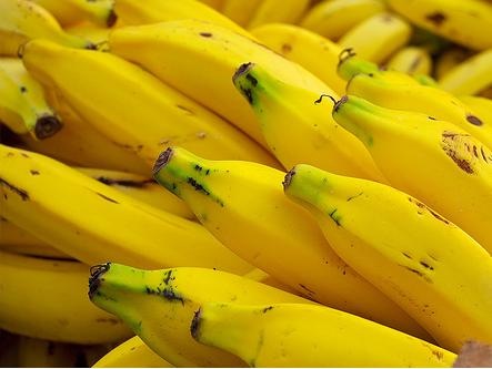 [banana+prata_000fruy59q902wyiv80o05xwsb1uxv91[5].jpg]