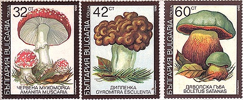 bulgaria1a