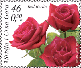 marka_flora4 marka_flora4
