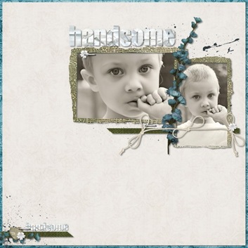 RAK_handsom_resize