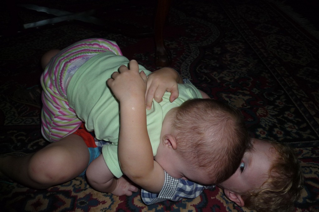 [P1010561[3].jpg]