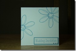 IMG_9203 IMG_9203