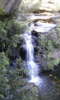 IMAG0178.jpg