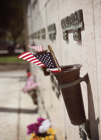 [IMG_4517_edited-1[3].jpg]