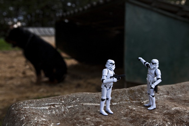 [stormtrooper e apolo2[3].jpg]