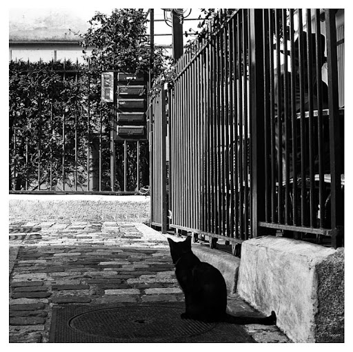 Paris_0148