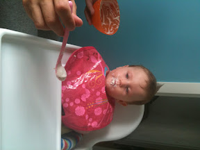 bild 1.JPG