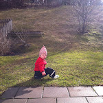 bild 2.JPG