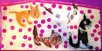 Age 7 - Quad kitties