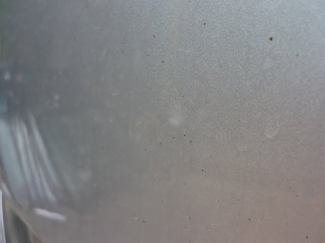 P1000226.JPG