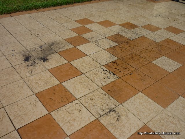 P1020657.JPG