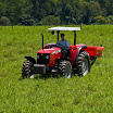 Massey389.jpg