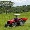 Massey406.jpg