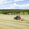 Massey303.jpg