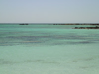 DSC00349.JPG