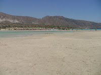 DSC00377.JPG