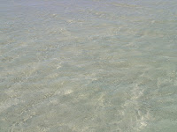 DSC00383.JPG
