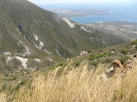 DSC00408.JPG