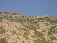 DSC00168.JPG