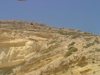 DSC00155.JPG