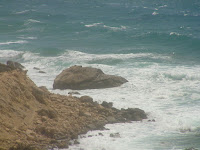 DSC00175.JPG