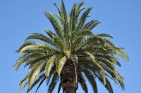 LAU_1558 2.JPG
