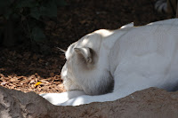 LAU_3480 2.JPG