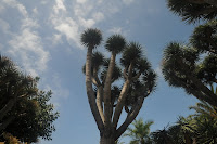 LAU_3541.JPG
