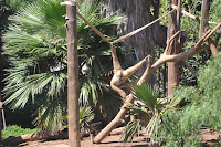 LAU_4175 2.JPG