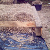 PICT0018.JPG