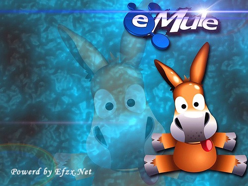[emule home[2].jpg]