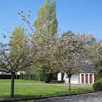 Le terrain de camping