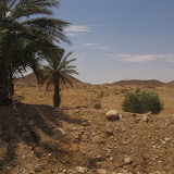 Tunisie
