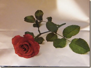 DSCF0001