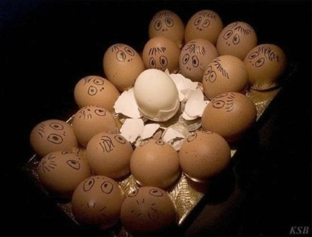 eggspression (4)