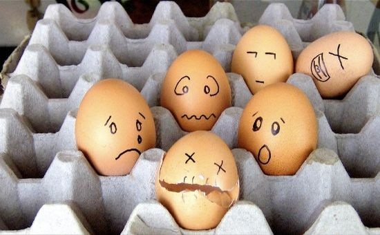 [eggspression (7)[2].jpg]