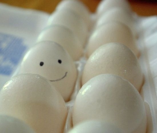 [eggspression (6)[2].jpg]
