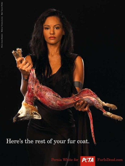 Celebrities in PETA advertising campaign Seen On coolpicturesgallery.blogspot.com peta (25)