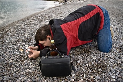 photographers (33) photographers (33)