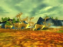 venture-arctic1