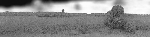 [nano-landscapes (1)[2].jpg]