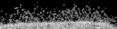 [nano-landscapes (4)[2].jpg]