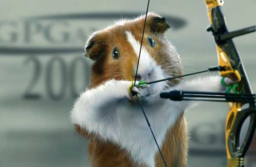 [olympics-guinea-pigs (7)[2].jpg]