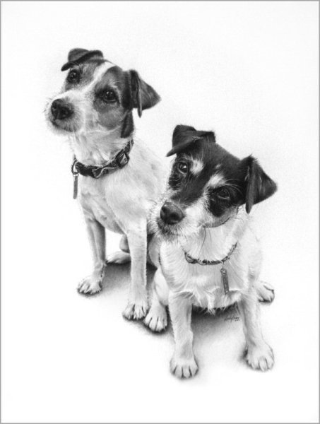 Photorealistic Pencil Drawings By Linda Huber Seen On www.coolpicturegallery.net linda-huber (19)