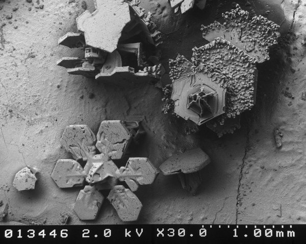 [snow-microscope (1)[2].jpg]