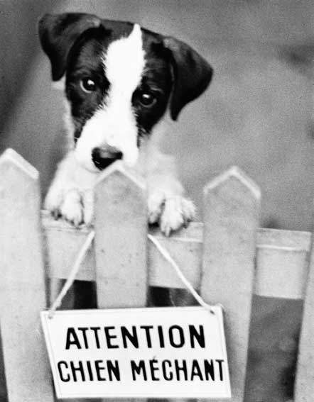 Rene Malte. Beware of the dog